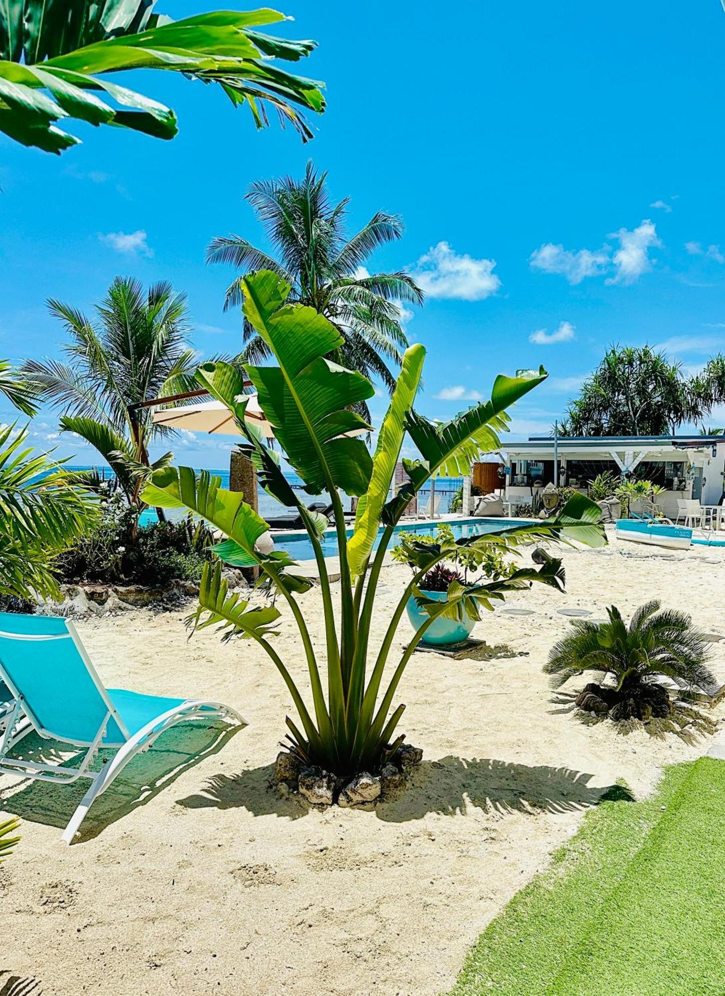 Pension Irivai, Appartement Rava 1 Chambre Bord De Mer Uturoa Dış mekan fotoğraf